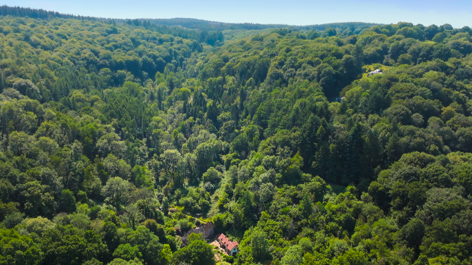 [Lower Wye Valley Landscape taken from BBC Secret Garden - Wye Valley programme]